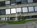 bild (29)
